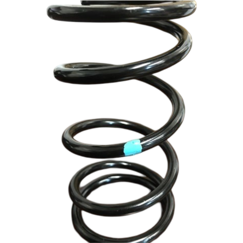 Dalton Primary Springs